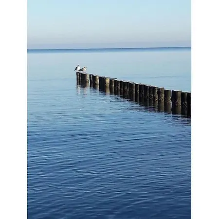 Wave Rider Comfortable 度假居 格洛威