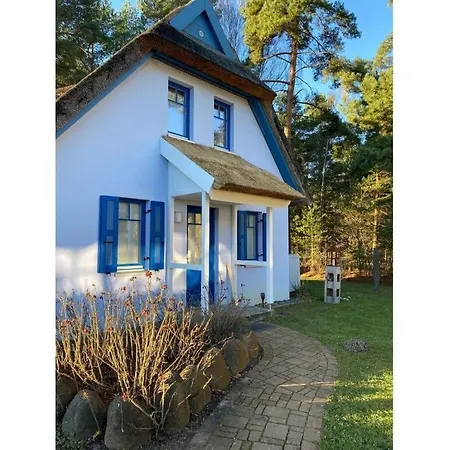 Wave Rider Comfortable 格洛威